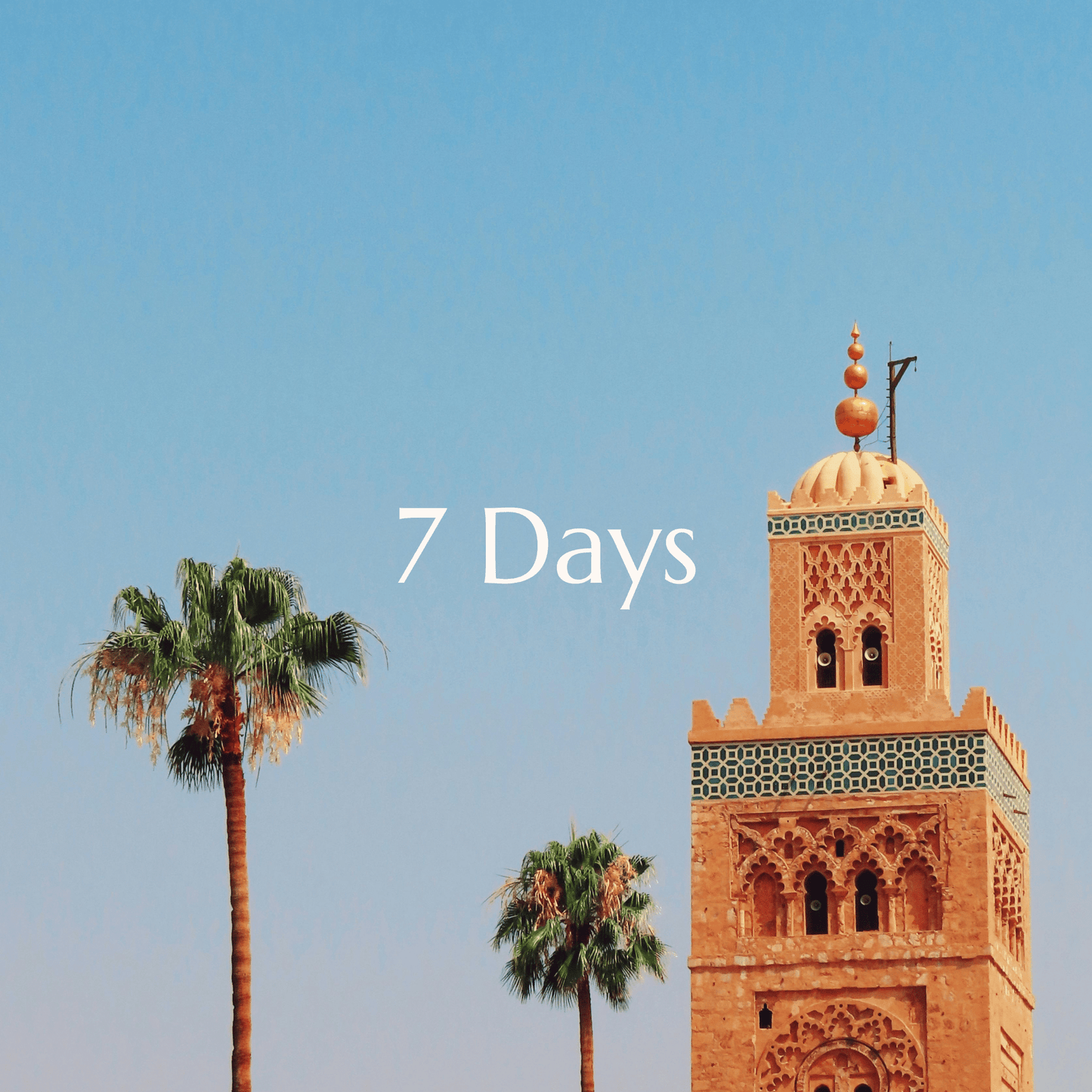 7 Day Concierge Package - Rocstar Concierge Marrakech